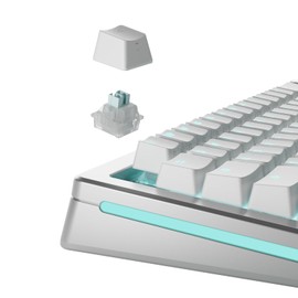 Glorious Gaming - Lynx Silent Linear Magnetic Hall Effect Switches (36PCS) for Mechanical Gaming Keyboards, Prelubed, Magnetic Switches for HE Hotswap Gaming Keyboards