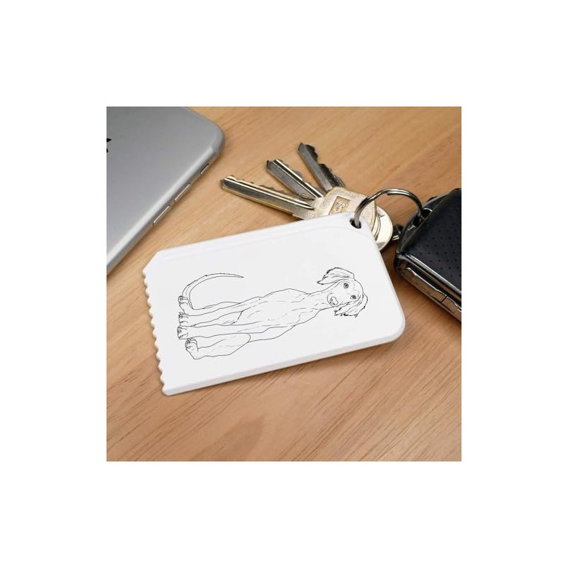 Azeeda 'Saluki Puppy' Plastic Ice Scraper (IC00036194)