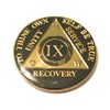 Recovery Line 9 Year AA Medallion - Classic Black &