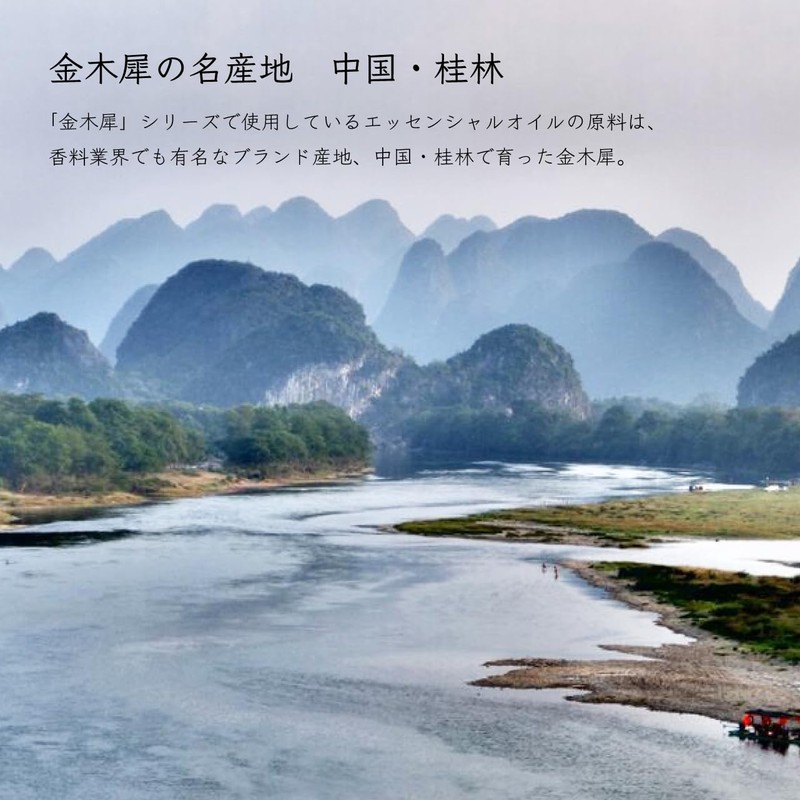 Life Tree Oyster Hand Cream Light 1.6 oz (45 g)