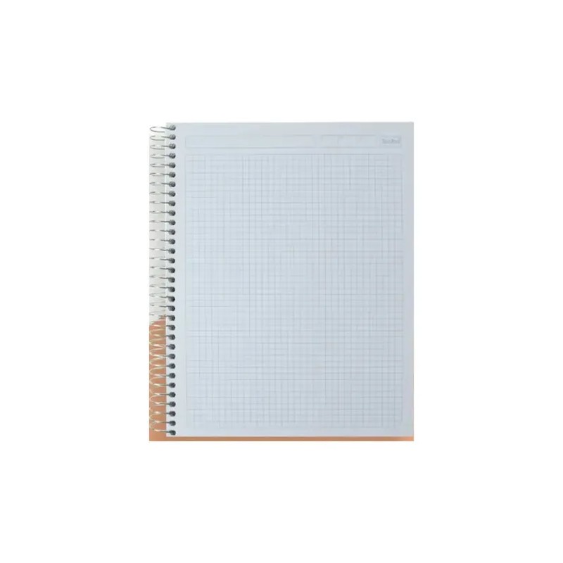 2 Cuadernos Profesional Pasta Dura 200 Hjs Rayado A Color