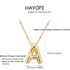 Hayopi Bubble Letter Necklace - 14K Gold Plated Initial Necklace