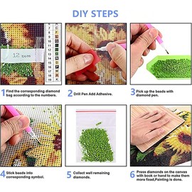 Flower DIY Diamond Painting Kits Art Kits for Beginner Full Drill Diamond Dots Home Decor 11.8x15.7 inch:_C-016-_12x16inch (30x40cmÔºâ