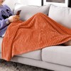 MIULEE Cuddly Fleece Blanket, Flannel Blanket, Plain Blankets, Couch Blanket,