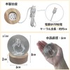 Lunari Dolphin Crystal Ball with Base Crystal Night Light Indirect