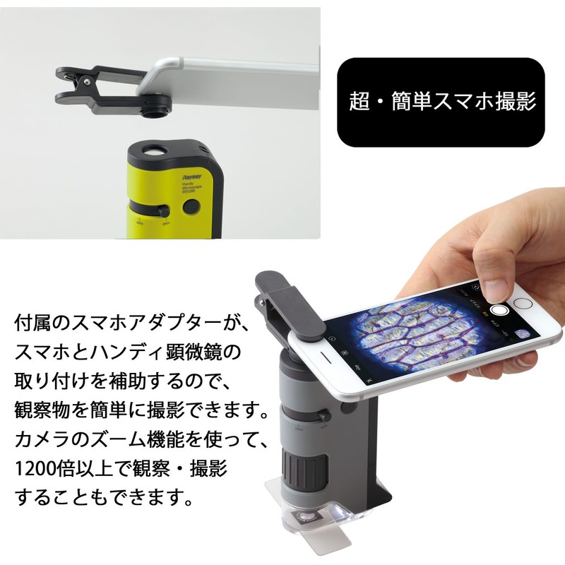 Raymay Fujii RXT300N Handy Microscope DX Gray