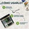 BRAIN FOOD - Cordyceps Orgánico en Polvo - Adaptógeno Natural