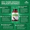 Zazzee 100% Pure Organic Himalayan Shilajit 20:1 Extract, 7000 mg