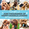 The Doodle Brush Slicker Brush for Dogs, Dual Head Flexible