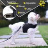 Small Dog Harness and Leash Set Small Pet Harness for