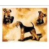 Airdale Terrier Trio Notecard Set - 12 Note Cards By