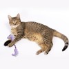 Andiker Cat Catnip Toy，26.5cm Cat Plush Toy with Silvervine Fruit