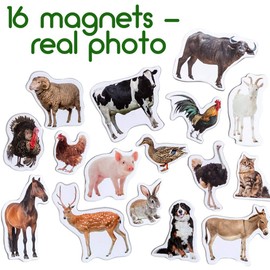 MAGDUM Farm Photo Realistic Animal Magnets for Kids -Real Large Fridge Magnets for Toddlers- Magnetic Educational Toys Baby 3 Year Old Baby Learning Magnets for Kids- Kid Magnets for Magnetic Theatre
