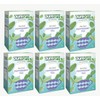 Puregro Peppermint Tea 40g [20 Tea Bag] | Pack of