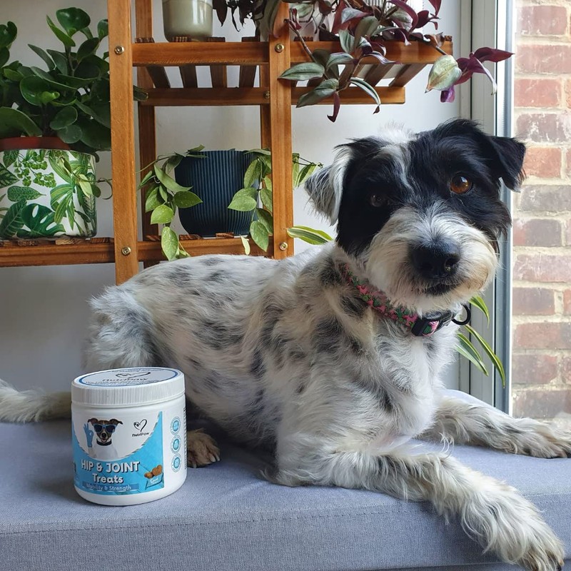 NutriPaw Joint & Hip Treats For Dogs - Stiffness, Strength,