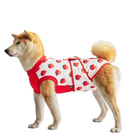 Traje De Recuperación para Perros, Mascota Spay Traje Anti-Licking, Protege Heridas Abdominales Y Enfermedades De La Piel, Prevención De Lamidas Y Arañazos, Transpirable Y Elástico (Rojo, M)