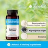 Digestive Enzymes Complex with Papaya, Bromelain & Chromium – 100
