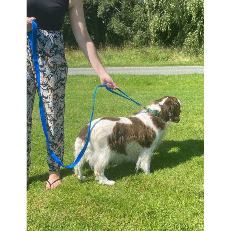 Double Handle Dog Leads 2m Long Quick Grab Handle For