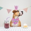 HACRAHO Dog Birthday Party Supplies, 3 Pieces Dog Birthday Bandana