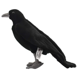 BH 6266 HANSA Crow 31