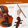 PHOENIX PHOENIX Violin 4/4 Full Size Kit, Violin Fiddle Set