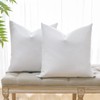 OTOSTAR Pack of 2 Down and Feather Throw Pillow Inserts,