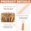 Wooden Dish Brush with 3 Replaceable Natural Bristle Heads