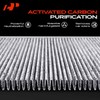 A-Premium Filtro de habitáculo de 2 piezas con carbón activado
