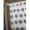 Horseshoe Crab Shells Molts - 5 Piece Lot - $25