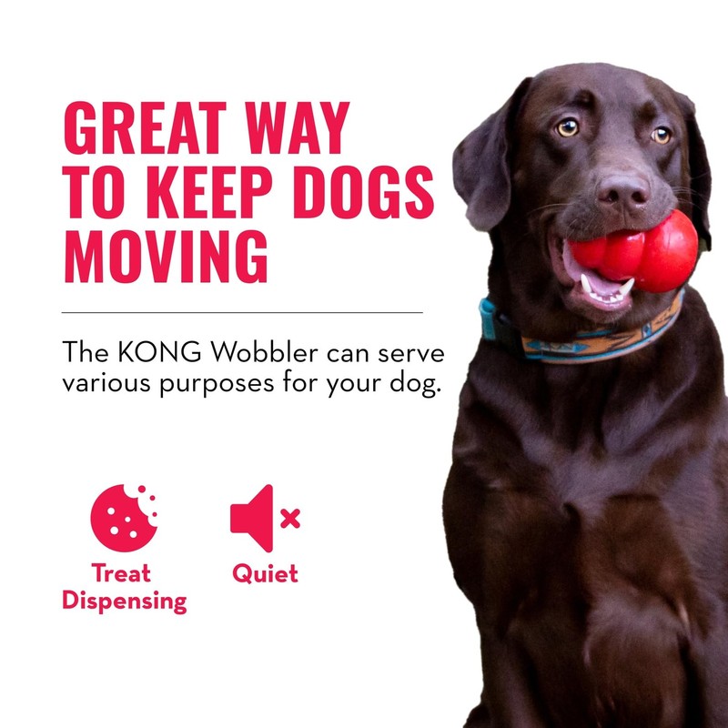 KONG Wobbler - Interactive Dog Toy for Treat Dispensing -