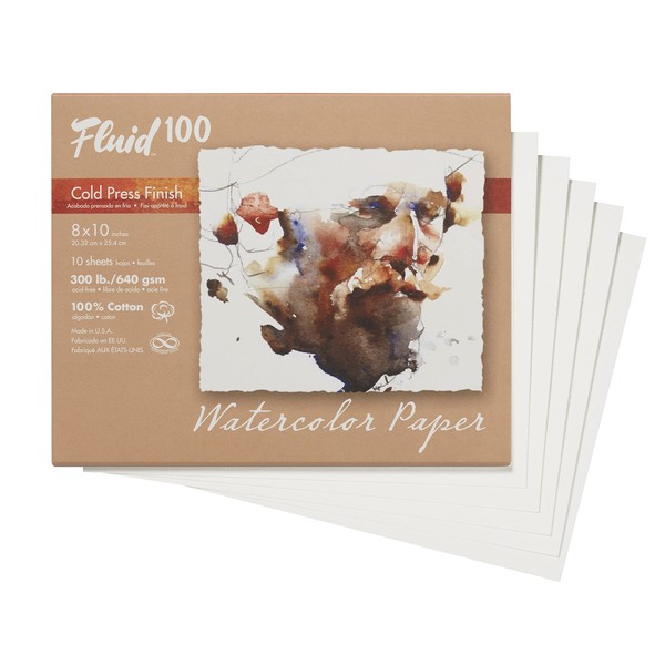 Fluid 100 Watercolor Paper 821716 300LB 100% Cotton Cold Press 8 x 10 Pochette, 10 Sheets