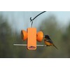 Kettle Moraine Recycled Single Oriole Orange Fruit Stick Feeder
