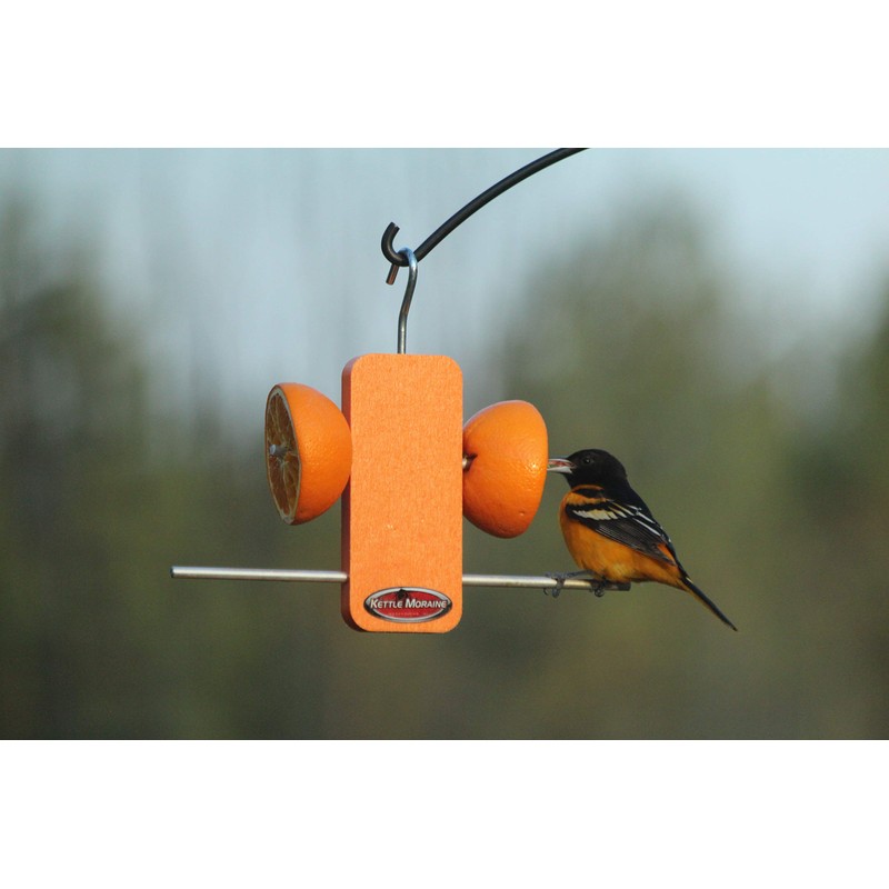 Kettle Moraine Recycled Single Oriole Orange Fruit Stick Feeder