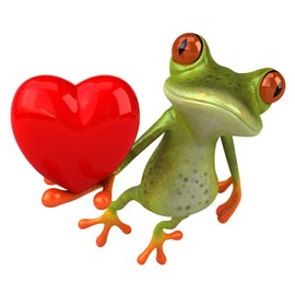 Sticker Frog with Heart 12 x 10 cm – Car Sticker Decorative Sticker – Car, Truck, Caravan, Moped Helmet – Weather-Resistant and Car Wash Safe – kfz726