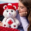 Care Bears 14" True North Bear, Snuggly Edition, Canadian-exclusive plush