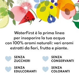 Zuccari WaterFirst Limone, Menta, Fiori di Sambuco, 12 Stick-Pack da 1,5g, Aromatizzatore per Acqua con Alkacitrati, Senza Zuccheri, Edulcoranti e Conservanti, Supporta il Metabolismo Acido-Base