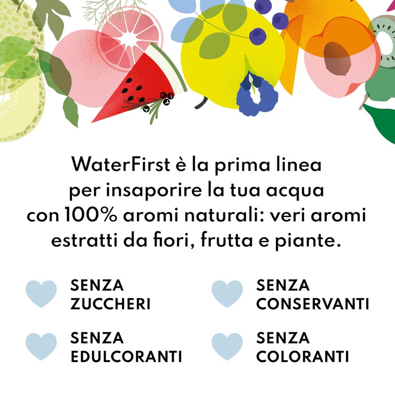 Zuccari WaterFirst Limone, Menta, Fiori di Sambuco, 12 Stick-Pack da