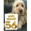 Brainbox Candy - 56th Birthday Card - Age 56 -