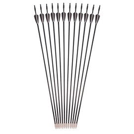 GPP Archery Beginner's First Arrows (30" Fiberglass Target Archery Arrows) - 12 Pack,Black