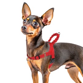 PUPTECK No Pull Dog Harness Small Sized Dog, Adjustable Reflective Pet Vest Harness with Bungee Handle, Escape Proof No Choke Harness for Small Dogs Walking Training, Red XS