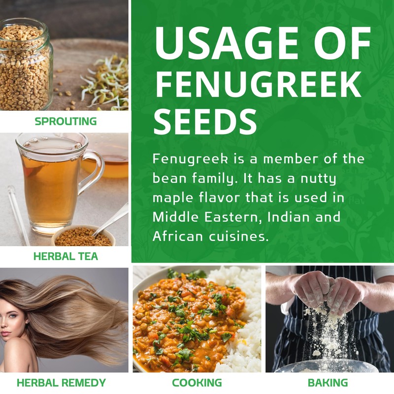 Jiva Organic Fenugreek Seeds 7 Ounce – Non-GMO, Gluten Free,