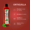 Shampoo Anticaída Romero Árbol Verde 500ml Natural Crecimiento Capilar Sábila
