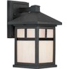 Forte Lighting 1773-01-04 Exterior Wall Light with Honey Glass Shades,