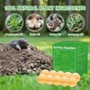 36Pack Mole Repellent - Natural Mole Deterrent for Yard, Garden