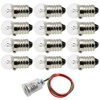 FDXGYH E10 1.5V 0.3A Mini Light Bulbs 12pcs Old Fashioned