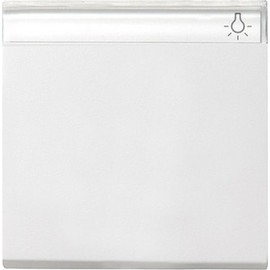GIRA 029903 Wippe with Inscription Field System 55 pure white