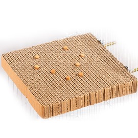 Cardboard Bird Toy-Interactive Foraging & Chewing, Paw Grinding Platform for African Greys, Eclectus, Quakers & More Medium to Large Birds. with Seeds & Treat Storage, Colorful Beads,Cage Attachment.