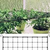 SRJQXH Grow Tent Net 90 x 90 cm Vegetable Protection