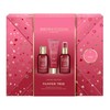Baylis & Harding Midnight Cherry Gift Wrapped Pamper Trio Gift