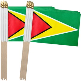 TSMD Guyana Stick Flag Guyanese Small Mini Hand Held Flags,5x8 Inch,12 Pack